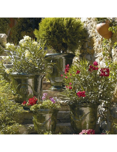 Vase Anduze Terre Figuière émaillé vert  - 4 tailles