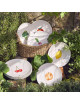 Coffret 4 Assiettes Degrenne Saisons légumes