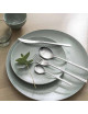 Coffret 24 couverts Fuse Miroir DEGRENNE