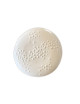 Pergay 6 Assiettes Corail porcelaine