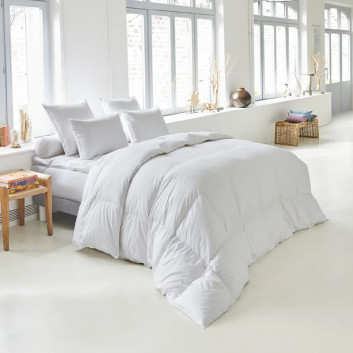 Drouault Couette Platinium 250g/m² - 4 tailles