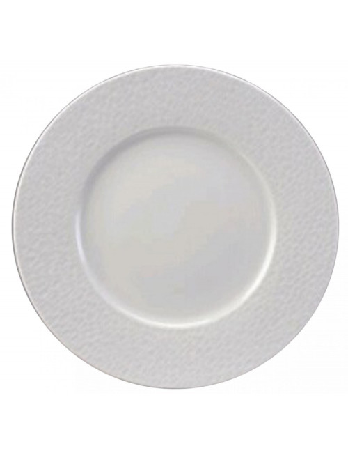 6 assiettes Apilco en porcelaine Aqua - 4 tailles