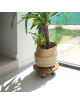 Roule plante LOUIS MOULIN rond en bois 30 cm - 2 coloris